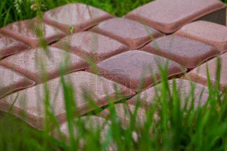 Bricks. Paving tiles. Colored stones. Texture of paving tiles. Cement products. Sidewalk in grass. Tile with embedded metal. 