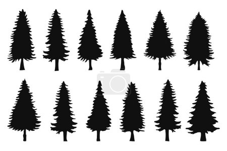 Téléchargez les photos : Silhouettes de pins collection vectorielle.Illustration vectorielle de silhouette de pins - en image libre de droit