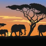 Illustration of elephants and trees' silhouette in the savannah during the evening