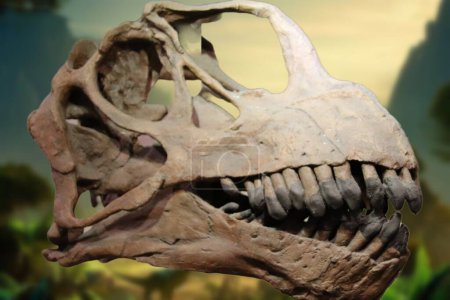 Foto de Camarasaurus es un género extinto de dinosaurio saurópodo camarasáurido que vivió en el Jurásico Superior. - Imagen libre de derechos