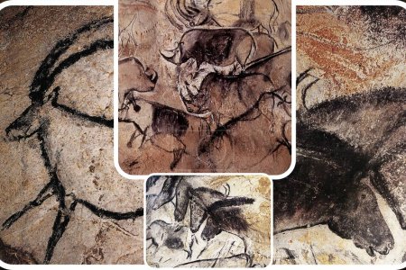 Photo for Paleolithic wall art in the famous Grotte Chauvet in France one of the most important European prehistoric sites. - Royalty Free Image