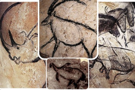 Photo for Paleolithic wall art in the famous Grotte Chauvet in France one of the most important European prehistoric sites. - Royalty Free Image