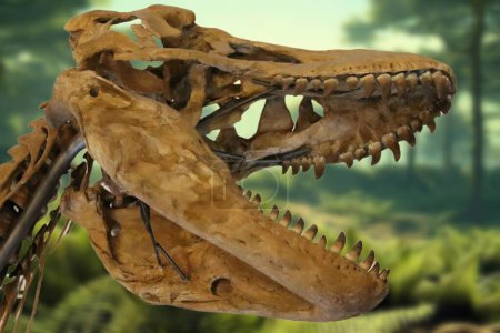Tyrannosaurus rex (T. rex) es una especie de dinosaurio terópodo que vivió en el Cretácico Superior.)