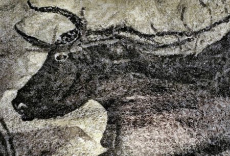 Téléchargez les photos : Les grottes de Lascaux sont des grottes décorées de peintures paléolithiques, considérées comme l'un des témoignages les plus importants de l'art préhistorique (UNESCO) - en image libre de droit