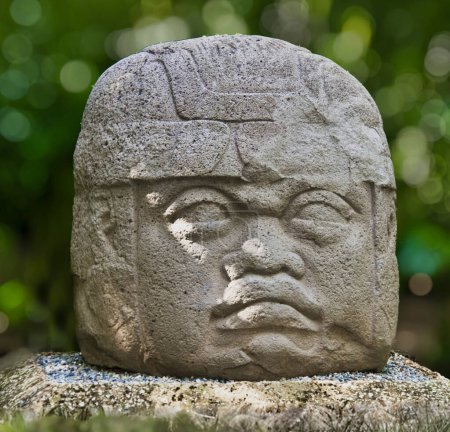 Photo for Colossal Olmec head, they are a series of stone sculptures depicting human heads made by the Olmec civilization, they are a testimony to their artistic and engineering ability of the Olmec people - Royalty Free Image