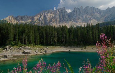 Téléchargez les photos : Destination touristique : Lago di Carezza Karersee - Un magnifique lac coloré au Tyrol du Sud pendant l'été, Dolomites Alpes italiennes - en image libre de droit