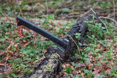 In this powerful image, a bushcraft and survival axe stands proudly embedded in a sturdy tree trunk on the forest floor. This symbol of skill and preparedness evokes the very essence of life in the wilderness, where proficiency and the right tools ar