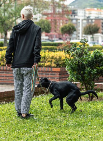 Frau, von hinten betrachtet, hält an ihrem Hund fest, während dieser in einem Garten entleert. Verantwortungsvolle Haltung von Haustieren und Konzept für die Pflege von Haustieren im Freien