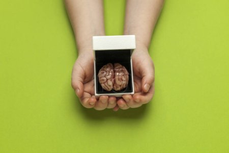 Téléchargez les photos : Smart human brain in box is isolated on green background as gift to dumb person. Mental development, self-improvement or problems. - en image libre de droit