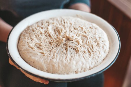Yeast dough in a bowl. Sourdough baking recipe.