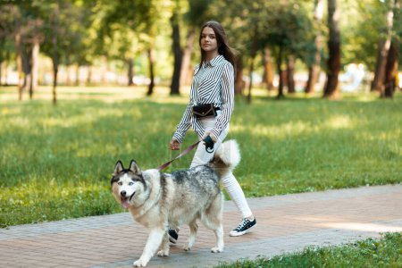 Chica adolescente pasea al perro con una correa en el parque. Propietario y husky.
