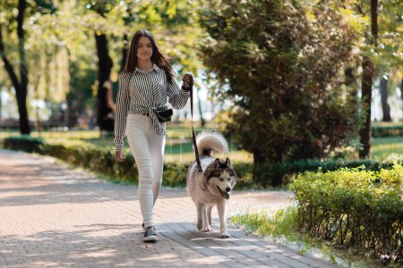 Photo for A girl walks with a dog in the park. Advertising of products for animals. Outdoo - Royalty Free Image
