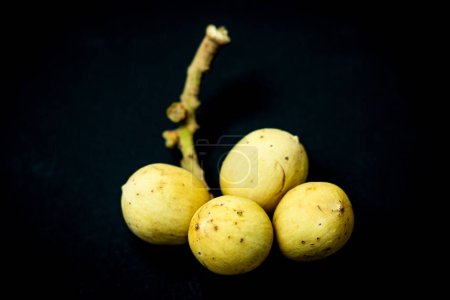 Fruta Langsat o Duku. Lansium parasiticum. Frutas originarias del sudeste asiático