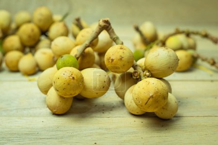 Langsat or Duku fruit. Lansium parasiticum. Fruits originating from Southeast Asia