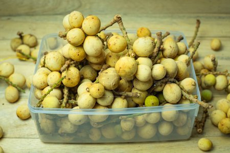 Langsat oder Duku Frucht. Lansium parasiticum. Früchte aus Südostasien