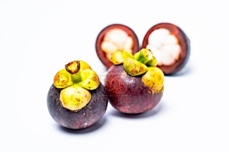 Mangostanfrucht isoliert auf weißem Hintergrund. Mangostan ist als Frucht bekannt, die einen sehr hohen Anteil an Antioxidantien enthält. Garcinia mangostana