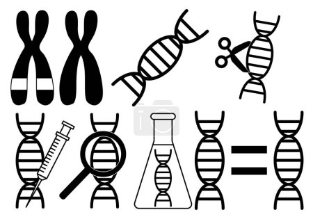 Illustration for Sheet of black icons about genetics. - Royalty Free Image