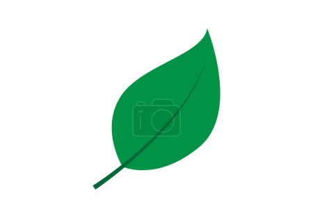 Ilustración de Icono de hoja verde sobre fondo blanco. - Imagen libre de derechos