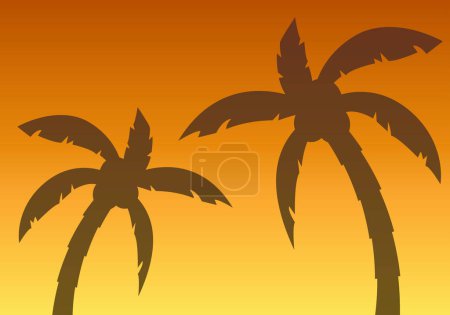 Silhouette of palm trees in summer at sunset or sunrise.