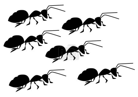 Illustration for Many black ants on white background. - Royalty Free Image