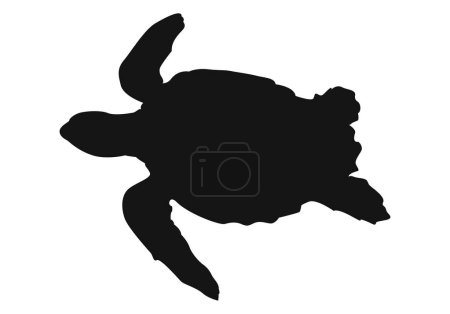 Black silhouette of a turtle on white background.