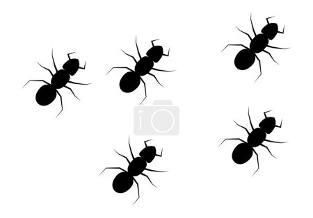 Illustration for Black ant silhouette on white background. - Royalty Free Image