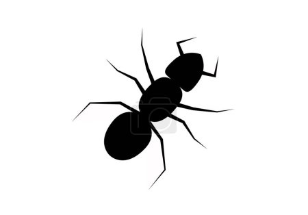 Illustration for Black ant silhouette on white background. - Royalty Free Image