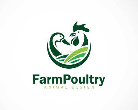 Illustration for Farm poultry logo creative rooster duck design concept business - Royalty Free Image