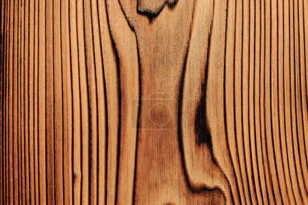 Foto de Hermosa madera modelada con superficie carbonizada. Fotografía de alta calidad en el condado de Nantou, Taiwán.Use en branding, salvapantallas, sitios web, etc.. - Imagen libre de derechos