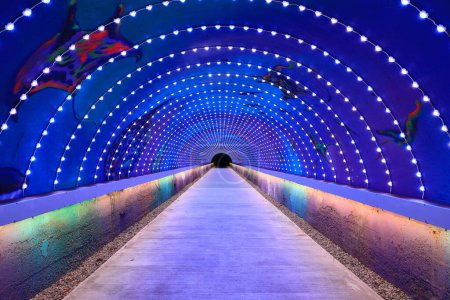 Foto de El hermoso y romántico Cijin Starry Sky Tunnel. organizado por el gobierno de la ciudad de Kaohsiung para el turismo.Cijin, Taiwán.Para branding, calendario, postal, salvapantallas, cartel, sitio web.Foto de alta calidad - Imagen libre de derechos