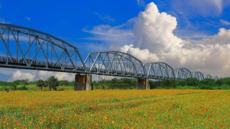 Photo for The spectacular Warren Truss Old Railway Bridge over scenic flower field. Dashu , Kaohsiung,Taiwan.for branding,calender,postcard,screensave,wallpaper,poster,banner,cover,website.High quality photo - Royalty Free Image