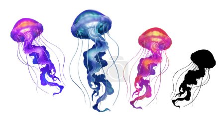 Large set of multi-colored jellyfish illustration isolate realism.
