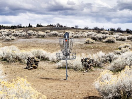 Téléchargez les photos : Panier cible de golf sur disque dans un parc désertique près de Reno Nevada. - en image libre de droit