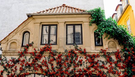 Foto de Copenhague Dinamarca fachadas coloridas de la antigua casa con rosas rojas. Foto de alta calidad - Imagen libre de derechos