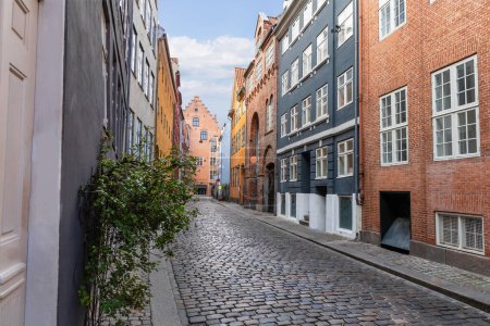 Traditional old houses on the street in Copenhagen. High quality photo