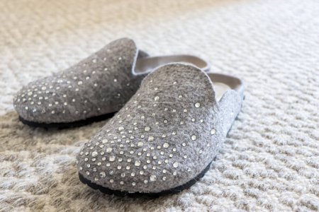 Gray slippers on the carpet. Shoes for home. High quality photo