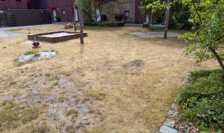 Sommerdürre. Trockenes Gras auf dem Spielplatz. Sommer ohne Regen. Globale Erwärmung.