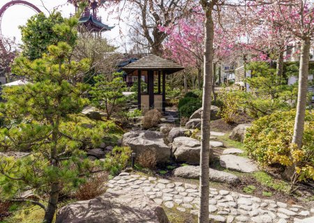 Garten im japanischen Stil mit Pavillon und großen Steinen und Kirschblüten. 