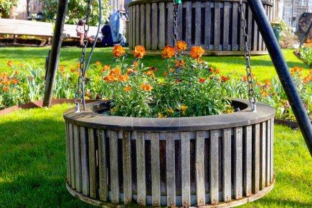 Wooden flowerbed with marigold flowers in a park. High quality photo