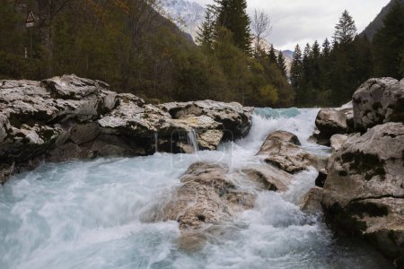 Téléchargez les photos : Belle rivière Turquoise Coldred Soca dans la vallée de Trenta Slovénie - en image libre de droit