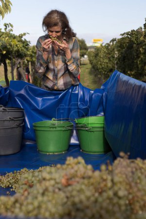 Foto de Día de elaboración del vino para una mujer agricultora serena al aire libre - Imagen libre de derechos
