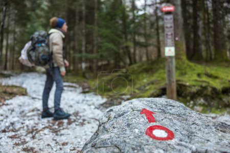 Téléchargez les photos : Randonneur Choisir le Sentier alpin droit Sentier de randonnée au panneau d'orientation Se connecter dans une forêt - Randonnée en toute sécurité dans les montagnes Concept - en image libre de droit
