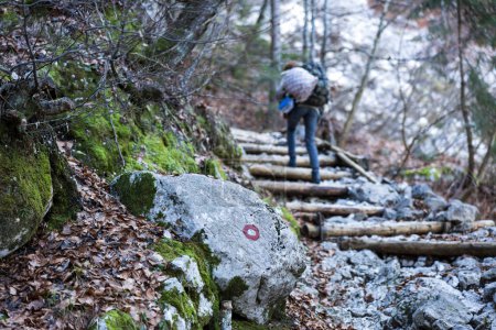 Téléchargez les photos : Randonneur qui monte un sentier de randonnée en montagne balisé avec un poids excessif du sac à dos - en image libre de droit