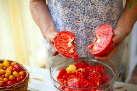 Téléchargez les photos : Femme âgée montrant la qualité d'une tomate cassée biologique cultivée au pays - en image libre de droit
