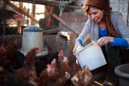 Téléchargez les photos : Belle femme adulte agriculteur souriant tout en nourrissant ses poulets et poules dans Coop domestique - en image libre de droit