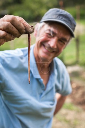 Photo for Earthworm in Hands of Smiling Senior Farmer - Royalty Free Image
