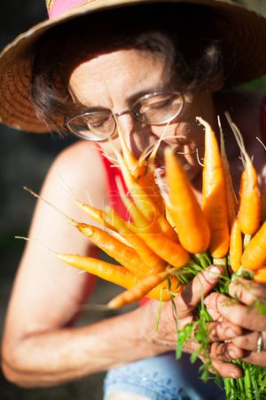 Photo for Closed Eyes Serene Senior Female Farmer Scenting Fresh Harvested Carrots from her Garden - Royalty Free Image