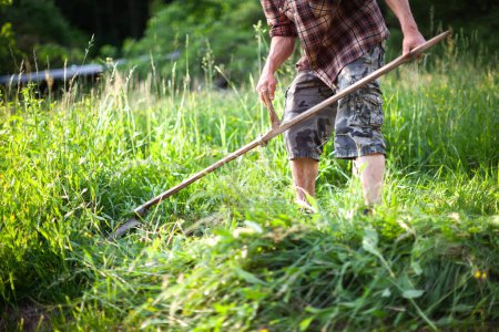 Foto de Agricultor joven adulto cortó hierba en el prado de una manera tradicional con una guadaña de mano - Estilo de vida antiguo en el campo - Imagen libre de derechos