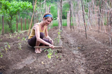 Foto de Mujer joven y joven agricultora trabajando en su huerto orgánico en primavera plantando nuevas verduras - Imagen libre de derechos