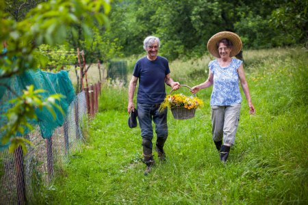 Photo for Senior Couple on Countryside Outdoors Collecting Wildflowers and Having Great Time Together - Royalty Free Image